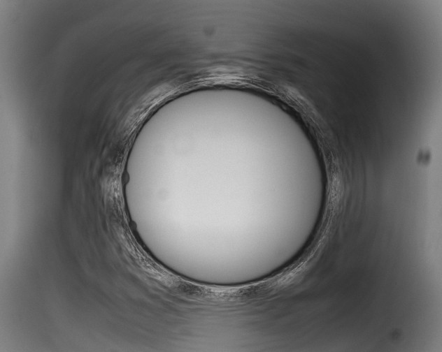 X0000116101353200911230922