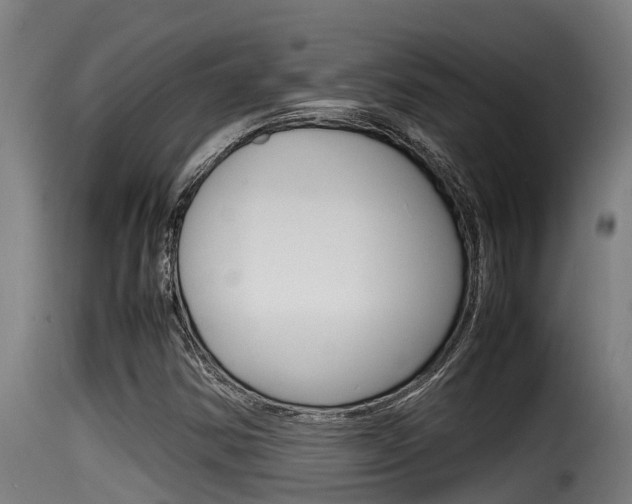 X0000116101354200911230922