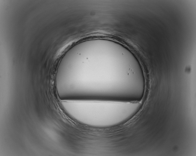 X0000116101355200911230922