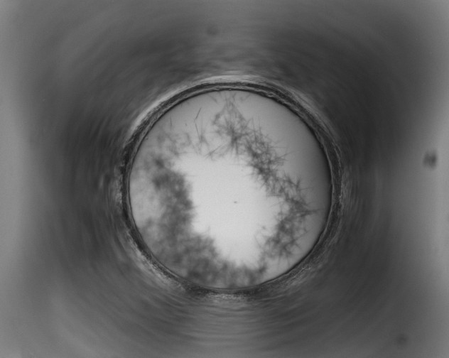 X0000116101356200911230922