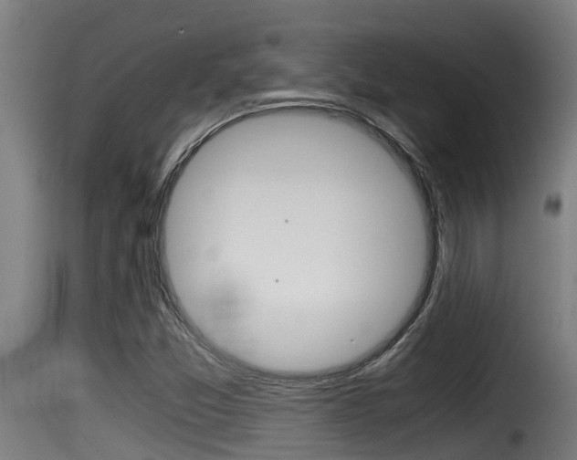 X0000116101357200911230922