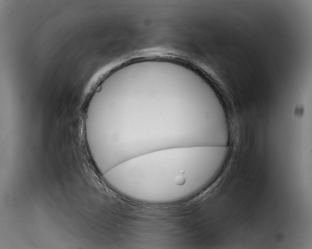 X0000116101358200911230922