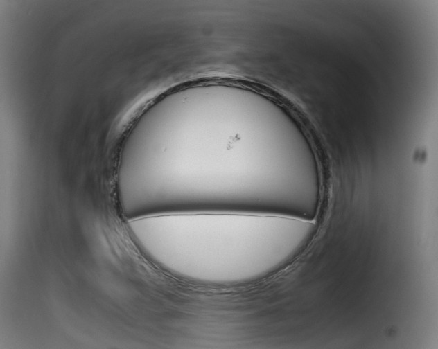 X0000116101359200911230922