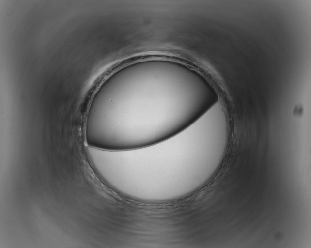 X0000116101360200911230922