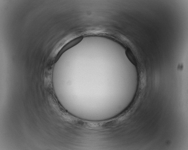 X0000116101361200911230922