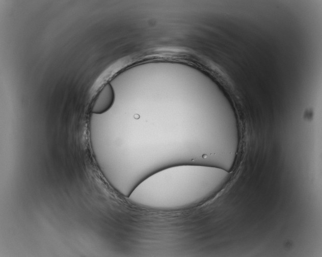 X0000116101362200911230922