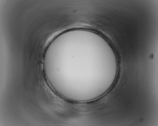 X0000116101363200911230922