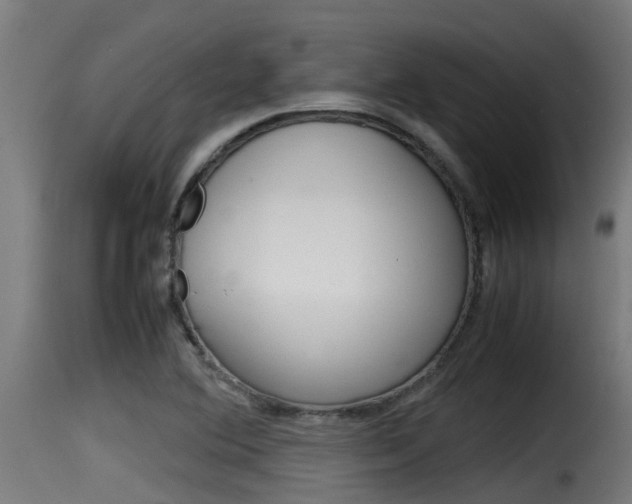 X0000116101364200911230922