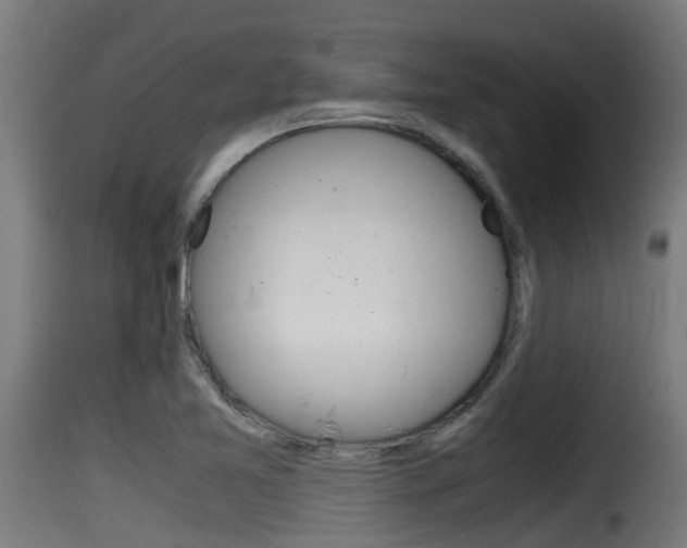 X0000116101365200911230922