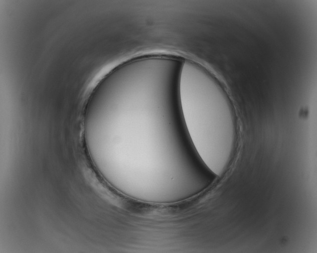 X0000116101367200911230922