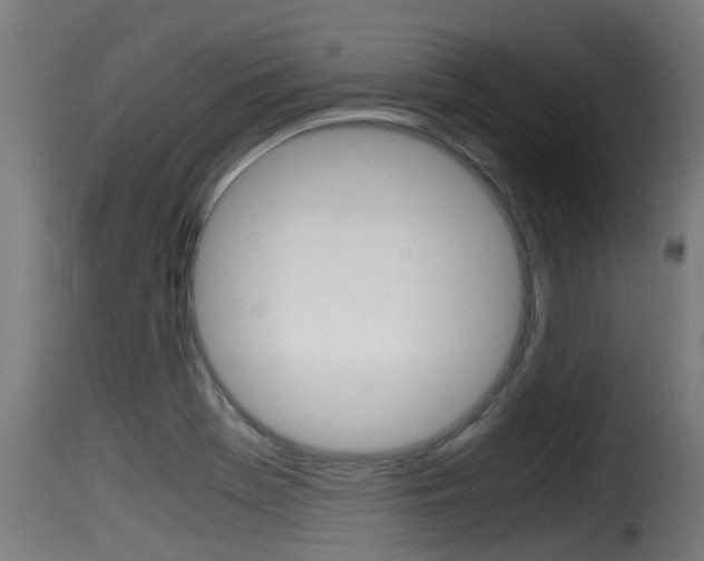 X0000116101369200911230922