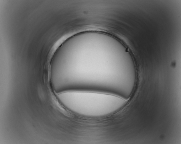 X0000116101371200911230922