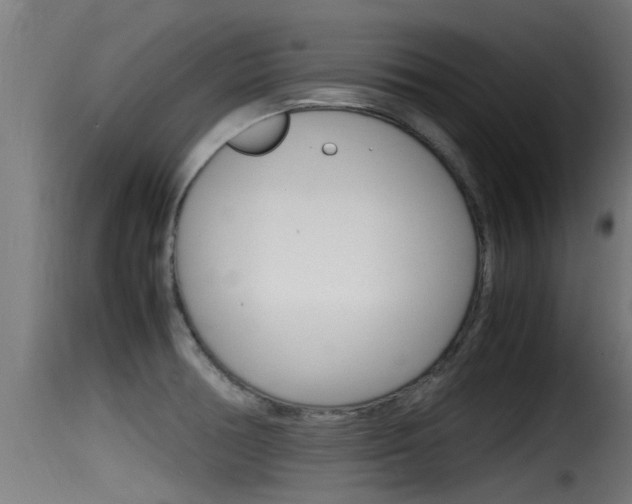 X0000116101378200911230922