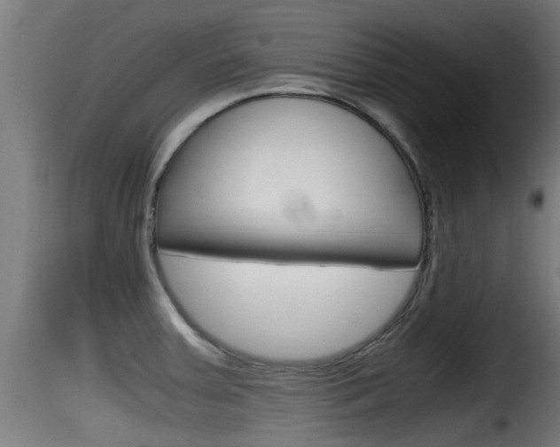 X0000116101379200911230922