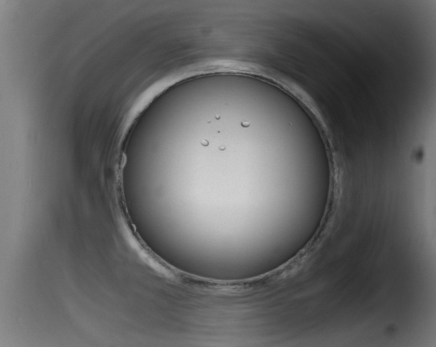 X0000116101381200911230922