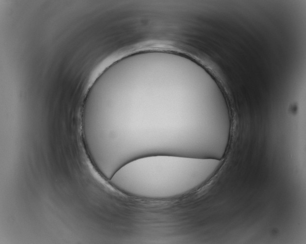 X0000116101382200911230922