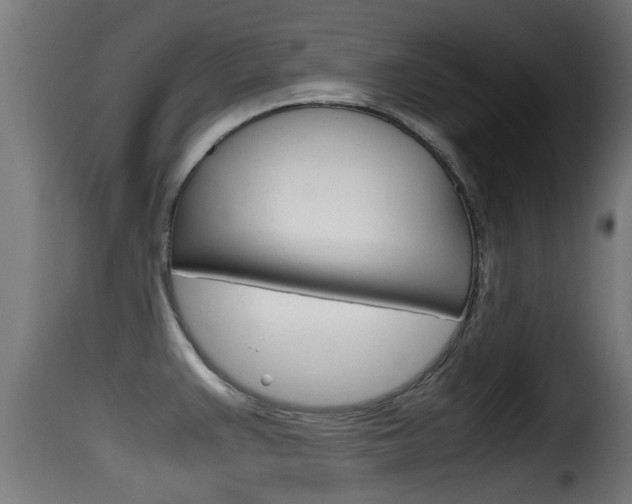 X0000116101383200911230922