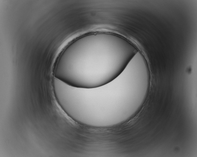 X0000116101384200911230922