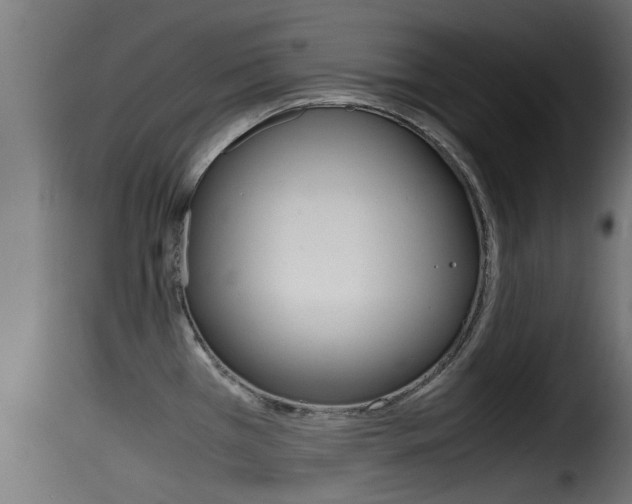 X0000116101385200911230922