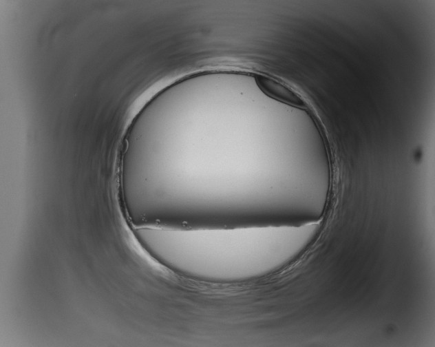 X0000116101387200911230922