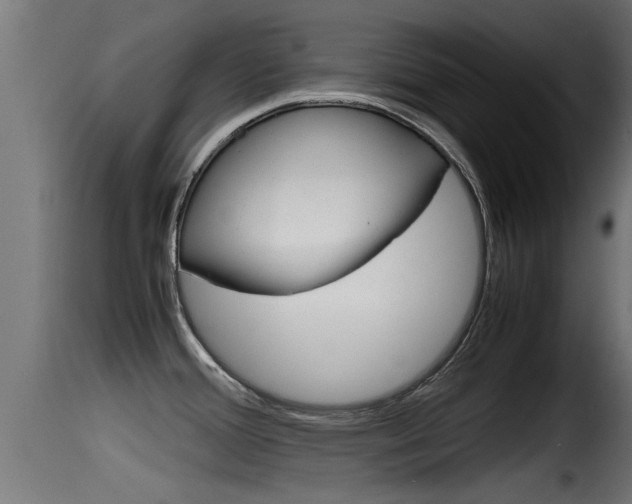 X0000116101388200911230922