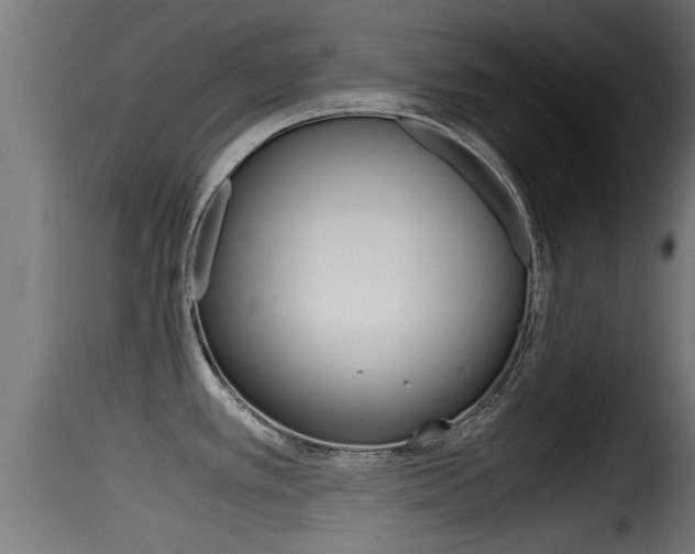 X0000116101389200911230922