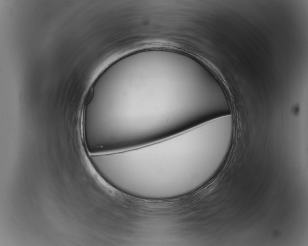 X0000116101391200911230922