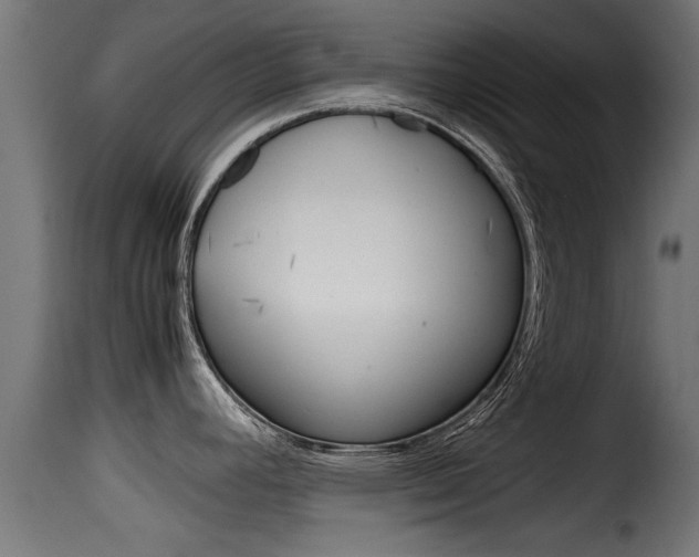X0000116101392200911230922