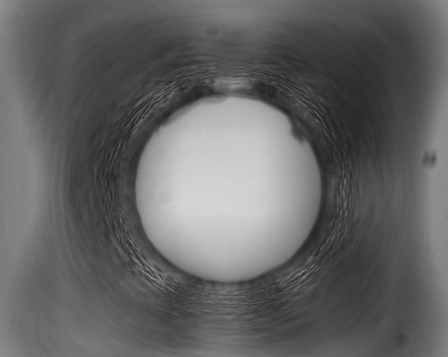X0000116101393200911230921