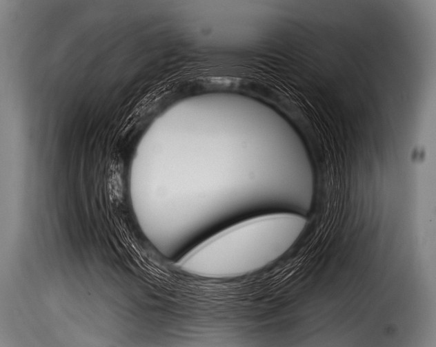 X0000116101394200911230921