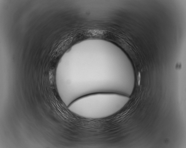 X0000116101395200911230921