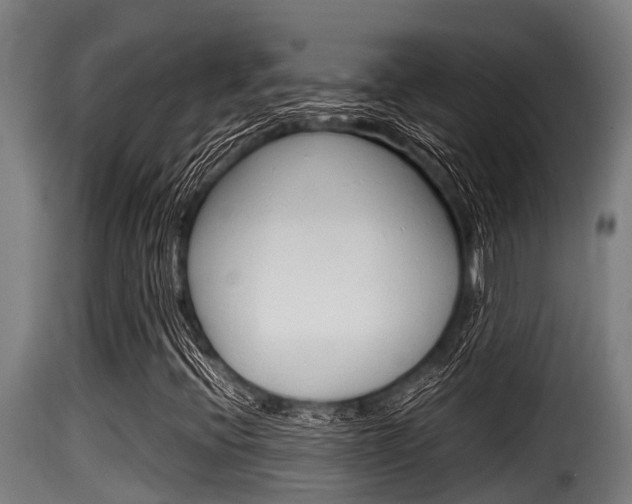 X0000116101396200911230921