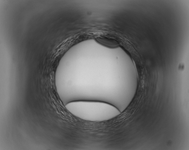 X0000116101397200911230921