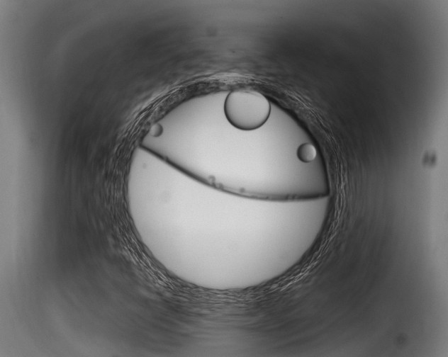 X0000116101398200911230921