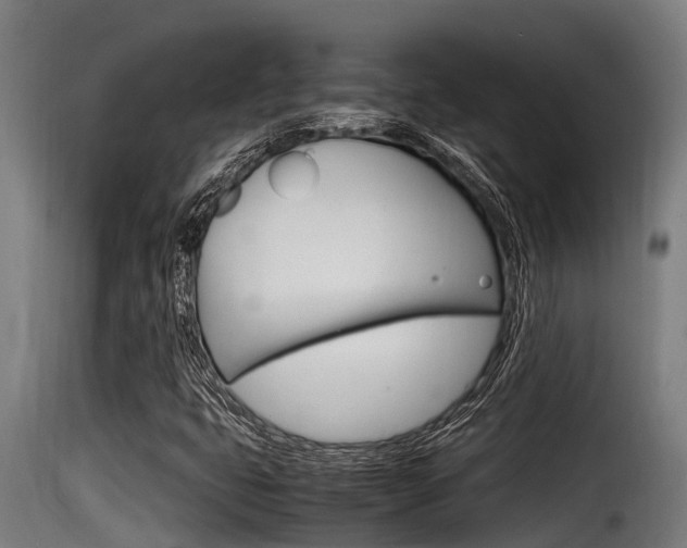 X0000116101399200911230921