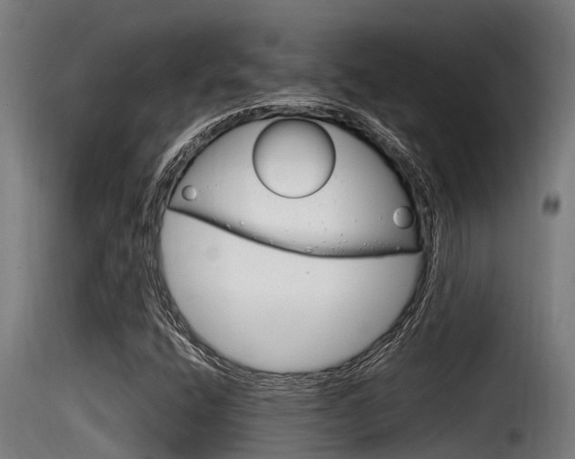 X0000116101400200911230921