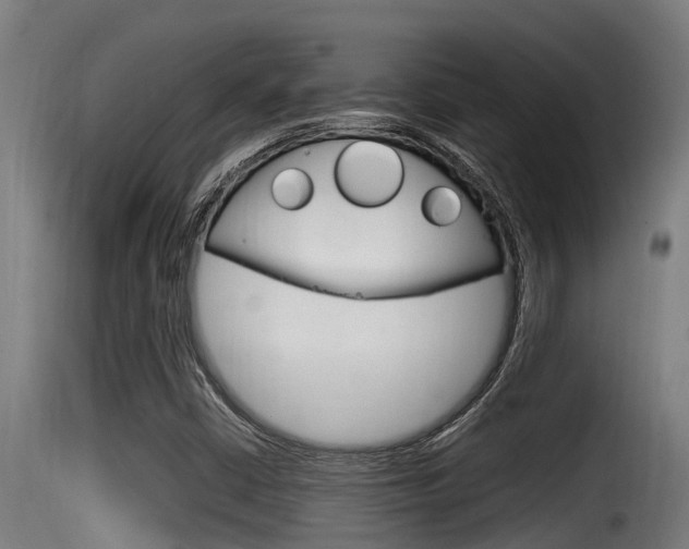 X0000116101402200911230921