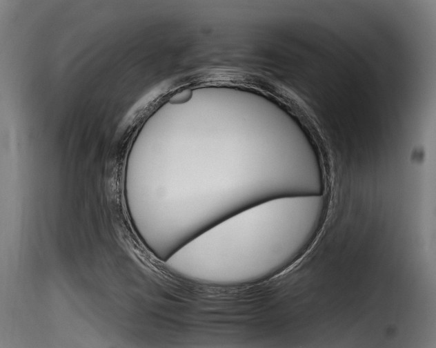 X0000116101403200911230921