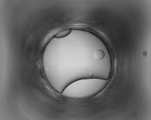 X0000116101405200911230921