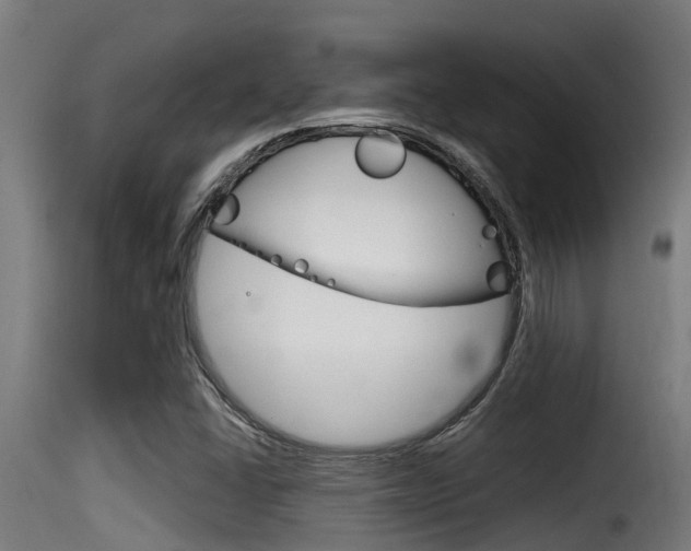 X0000116101406200911230921