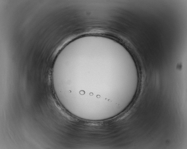 X0000116101409200911230921