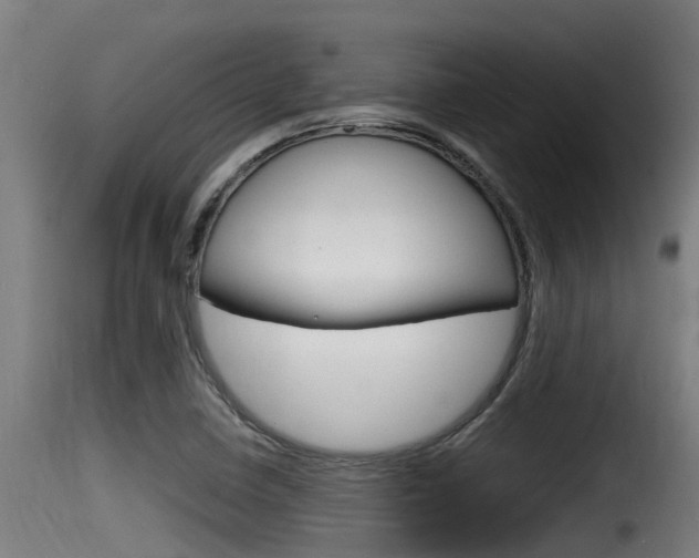 X0000116101410200911230921