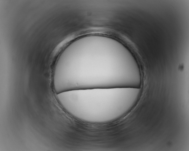 X0000116101411200911230921