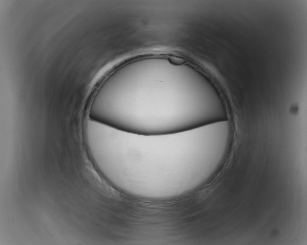 X0000116101412200911230921