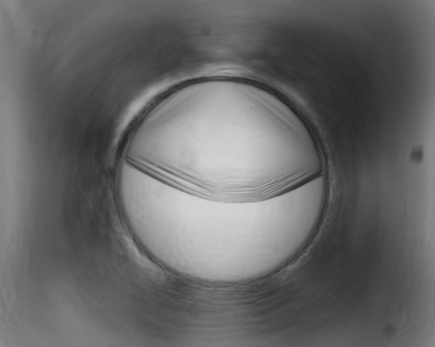 X0000116101414200911230921