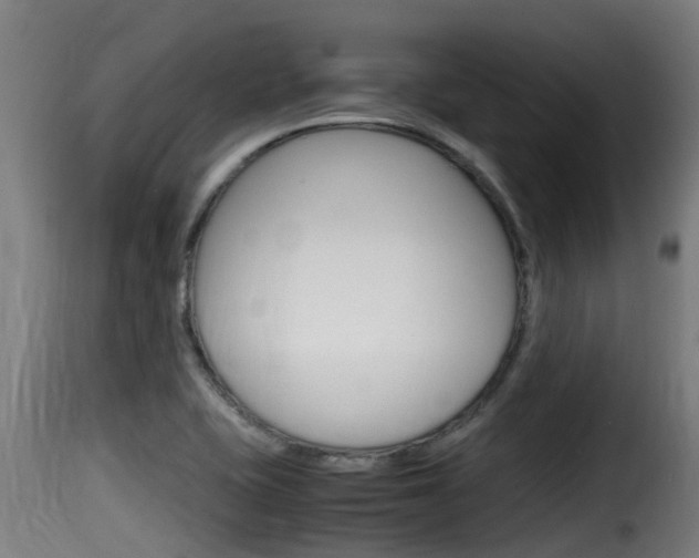 X0000116101415200911230921