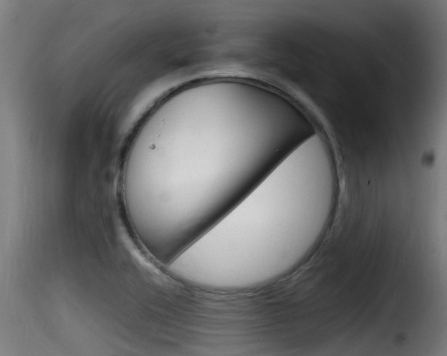 X0000116101416200911230921