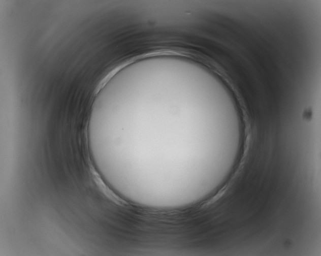 X0000116101417200911230921