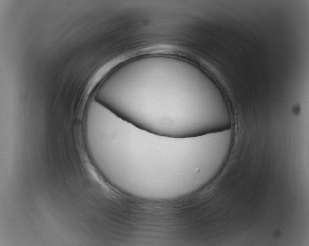 X0000116101418200911230921