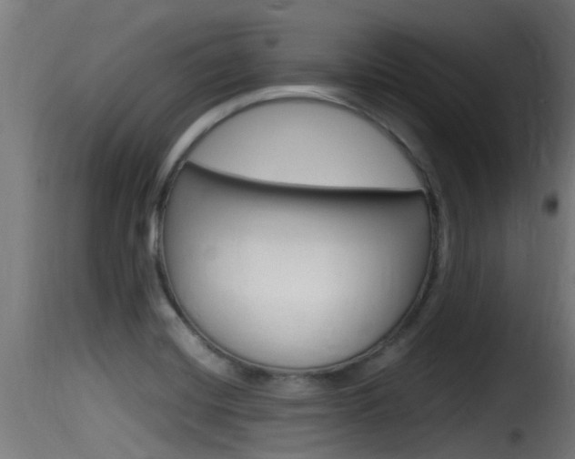 X0000116101420200911230921